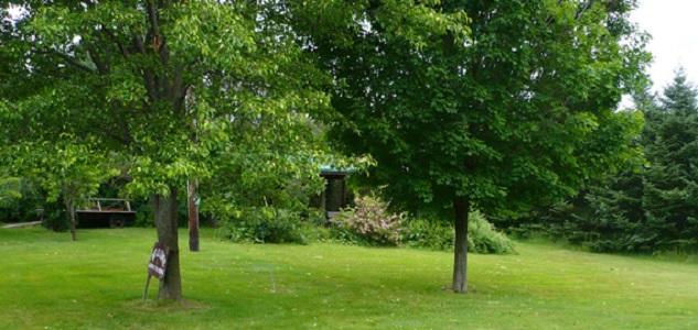 The South Glenora Tree Farm Dundee Exterior foto